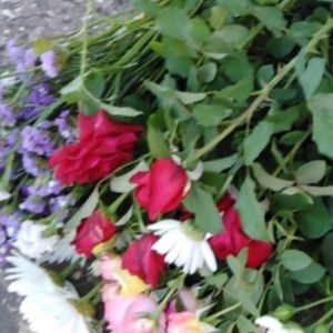 Meet your Posher, Nadine